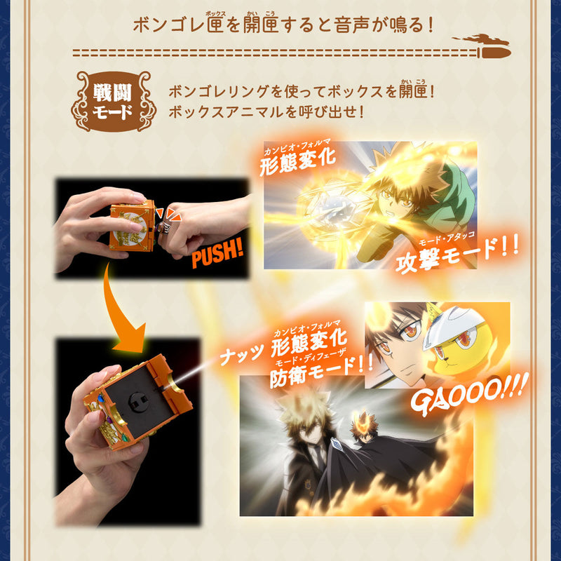 REBORN! Special Memorize Vongola Box & Ring Set (Reissue)