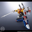 SMP Alternative Destiny Live Robo