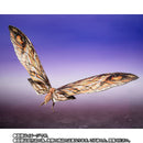 SH MonsterArts Suko & Mothra (2024) - Godzilla x Kong: The New Empire