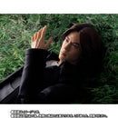 SH Figuarts Takumi Inui