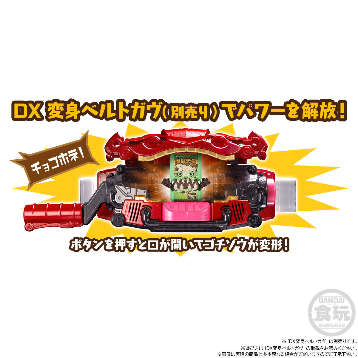 [PREORDER] SG Rider Gochizo Charapaki Gochizo Set