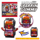 DX Rider Gochizo Series 05