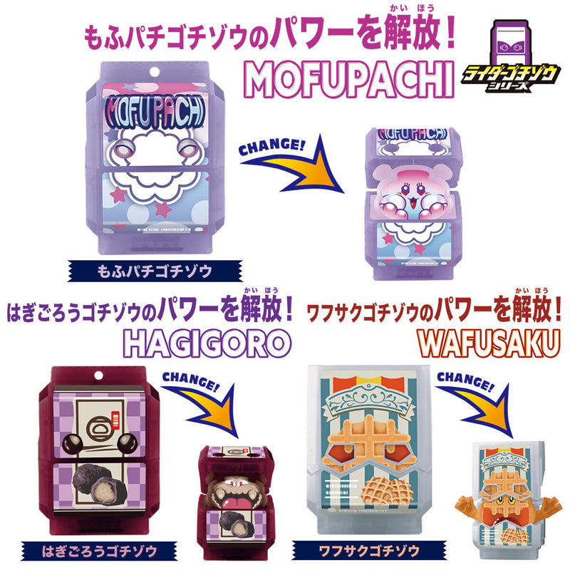 [PREORDER] DX Rider Gochizo Set 04