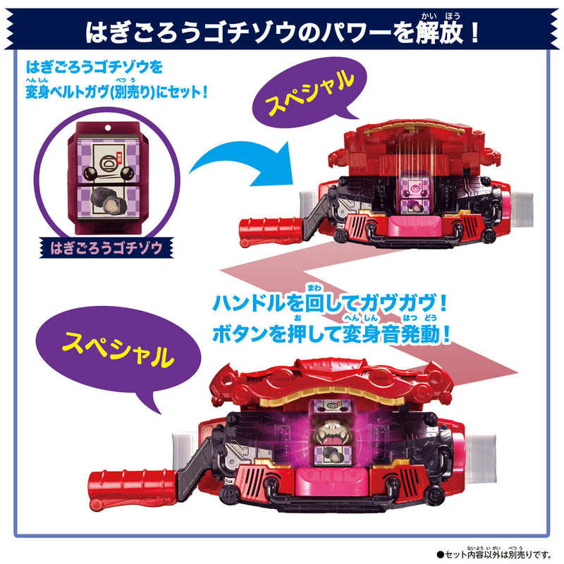 [PREORDER] DX Rider Gochizo Set 04