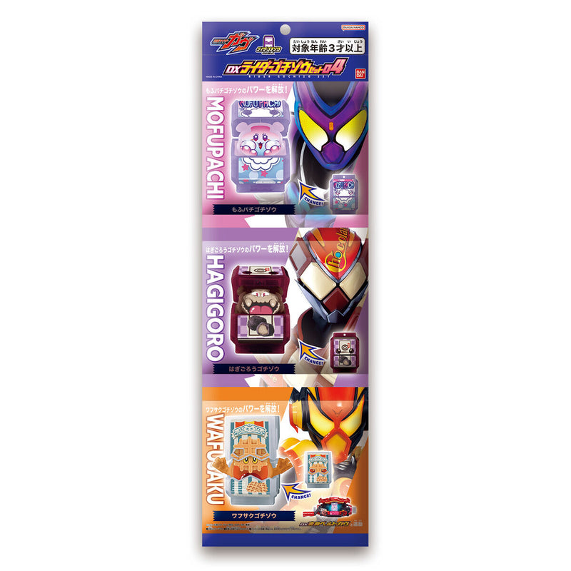 [PREORDER] DX Rider Gochizo Set 04