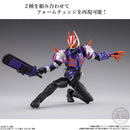 SHODO Exceed Kamen Rider