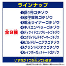 DX Legend Rider Gochizo Series Strongest Form Version 03