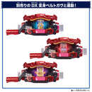 DX Rider Gochizo Series - New Species Ver 02