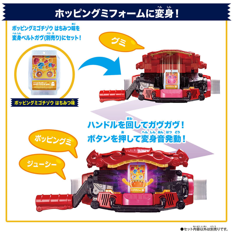 DX Rider Gochizo Special Set - New Species Ver 02