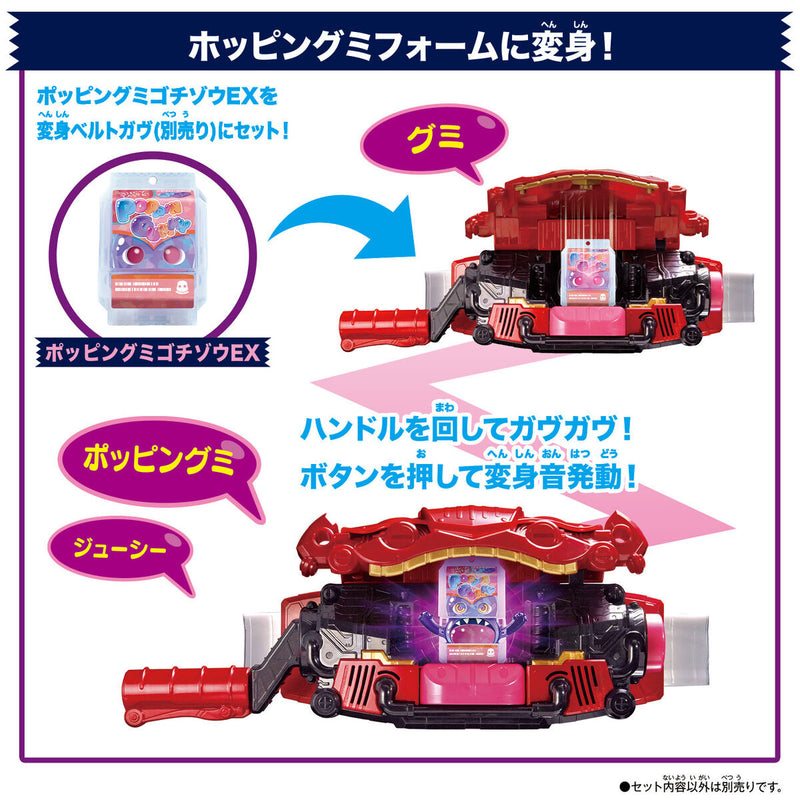 DX Rider Gochizo Special Set - New Species Ver 01