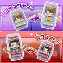 [PREORDER] DX Rider Gochizo Special Set - Hapipare Ver