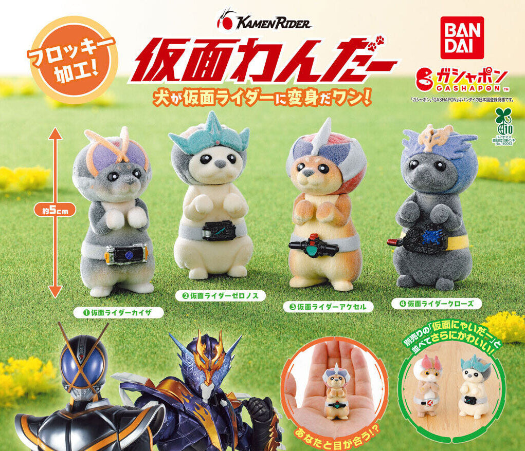 [PREORDER] Kamen Ruff-Rider Vol 1