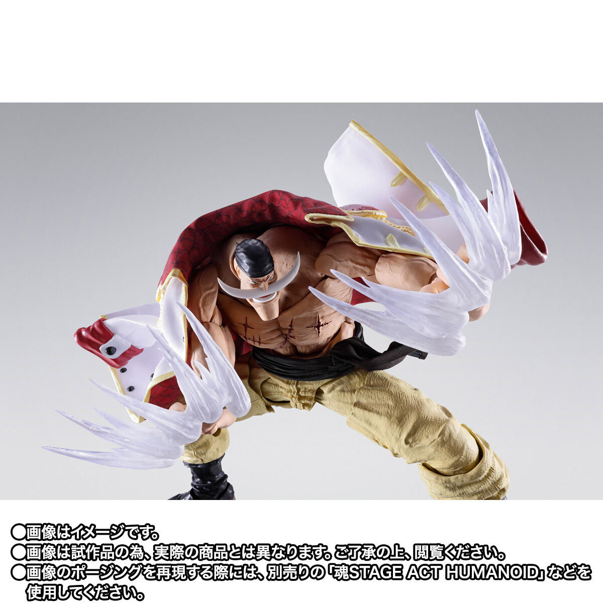 [PREORDER] SH Figuarts Edward Newgate -Marineford-