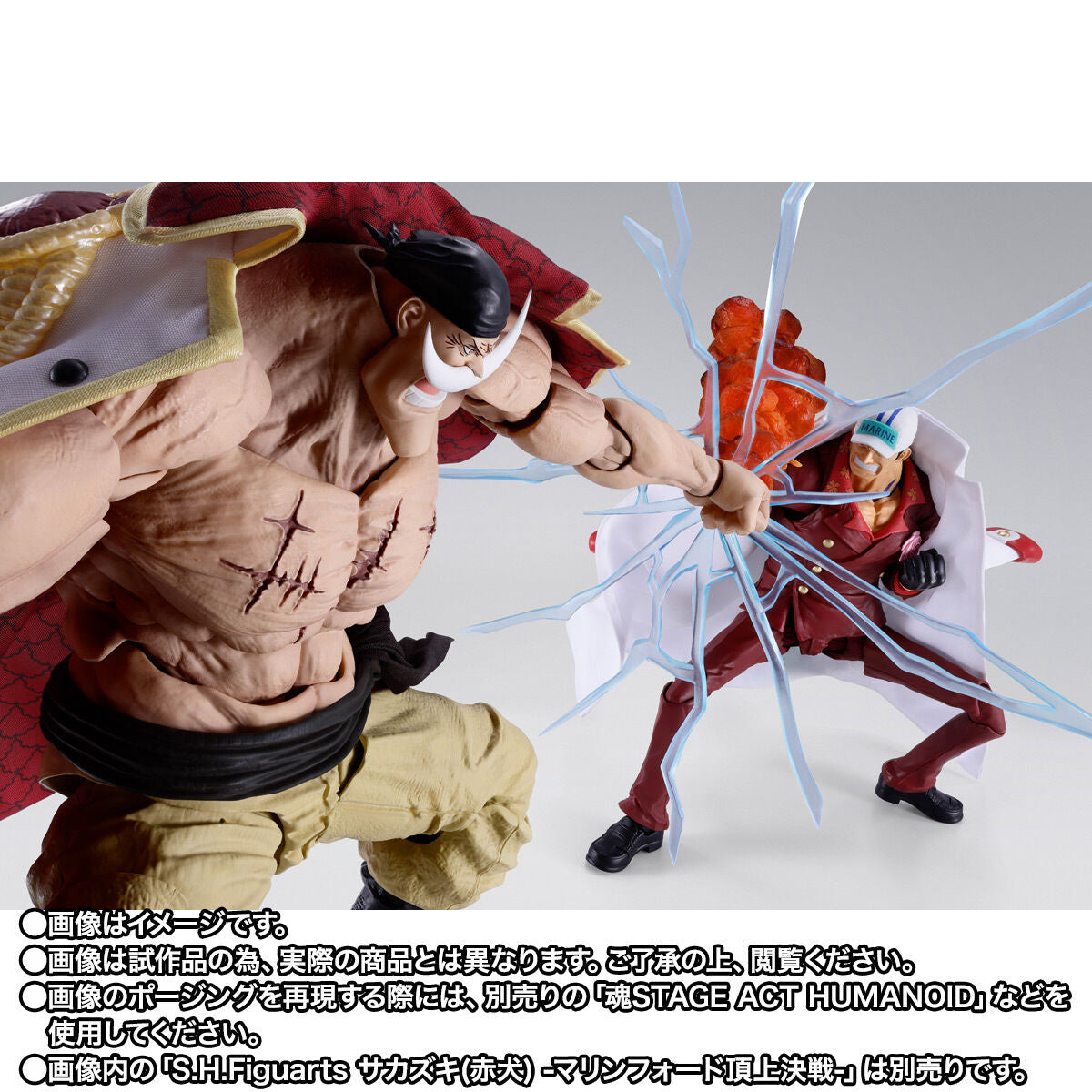 [PREORDER] SH Figuarts Edward Newgate -Marineford-