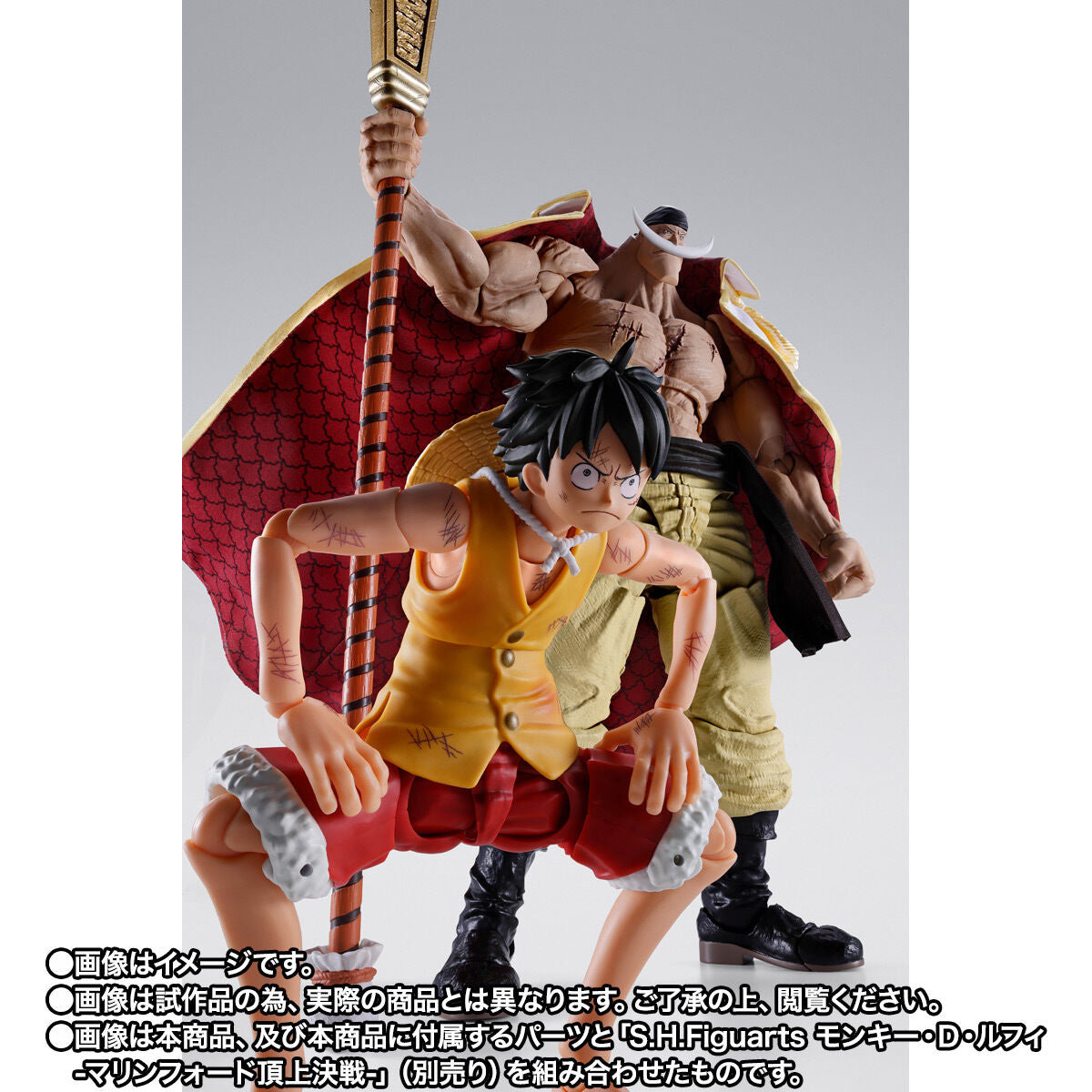 [PREORDER] SH Figuarts Edward Newgate -Marineford-