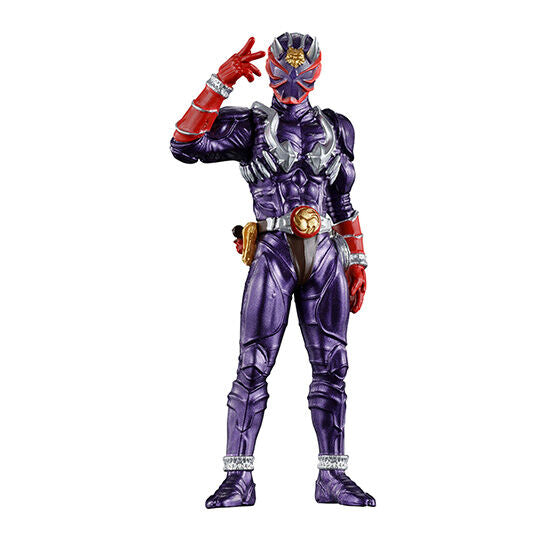 HG Legend Kamen Rider Vol 6