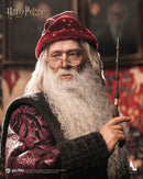[PREORDER] INART Albus Dumbledore 1/6 Figure - Harry Potter & The Chamber of Secrets
