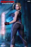 [PREORDER] PlayToy P027 - Fighting Female Warrior 6th Generation Action Figure