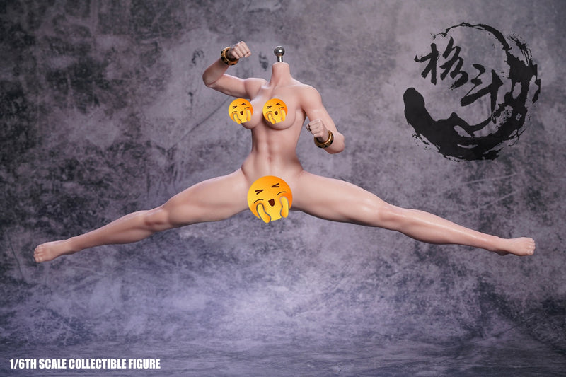 Playtoy P026 Chun-Li 6th Generation 1/6 Scale Action Figure Playtoy P026 Chun-Li 6th Generation 1/6 Scale Action Figure
