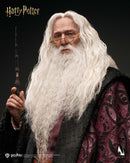 [PREORDER] INART Albus Dumbledore 1/6 Figure - Harry Potter & The Chamber of Secrets