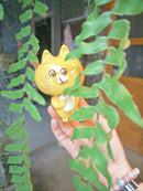 [PREORDER] K2Toy Trainee Ohonneko