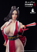 Ninja Cat N001 Female Fighter Mai 1/6 Scale Action Figure
