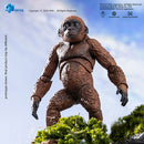 [PREORDER] Exquisite Basic Mothra Premium Set - Godzilla x Kong