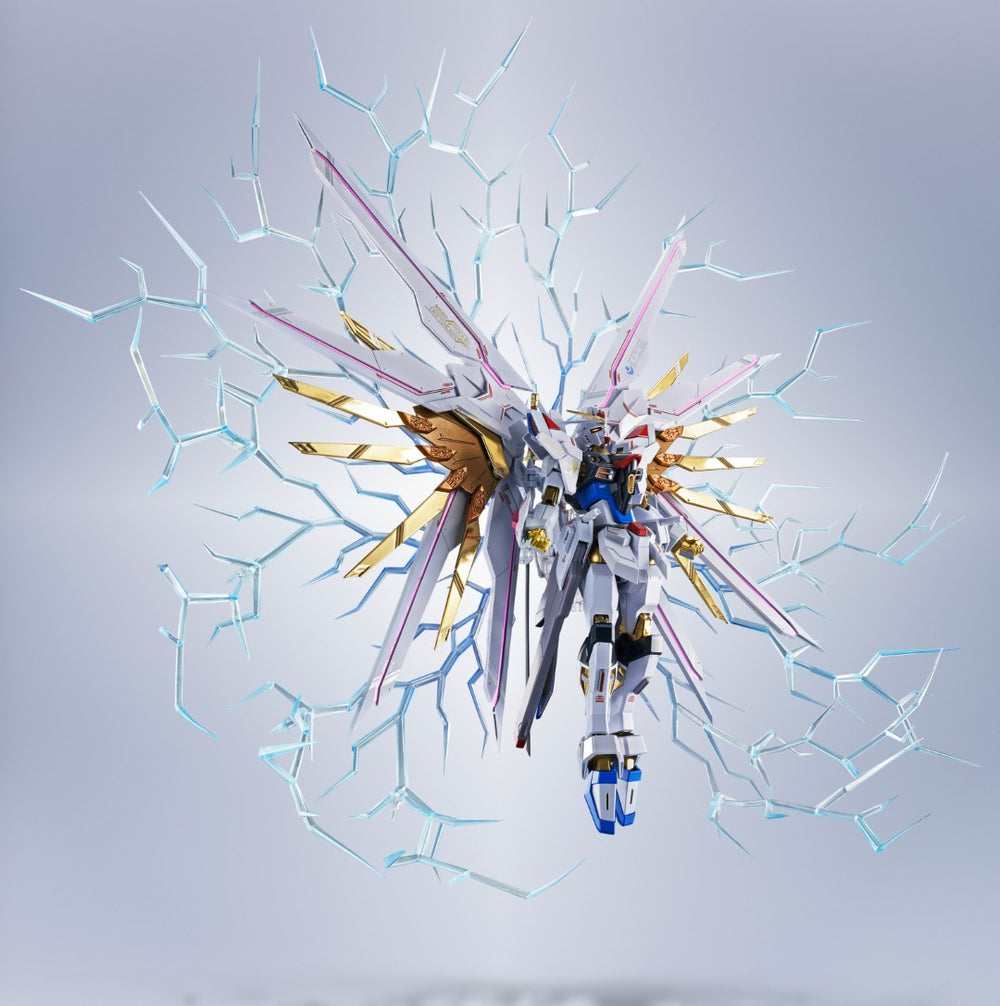 Metal Robot Spirits (SIDE MS) Proud Defender & Effect Parts Set
