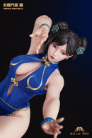 [PREORDER] HeiJi Toys HJ001 Female Fighter Li 1/6 Action Figure