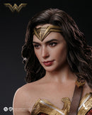 [PREORDER] INART Wonder Woman 1/6 Scale Action Figure - Dawn of Justice