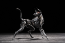 [PREORDER] Zatard Hound - EAE Canine‑Type Biological Weapon