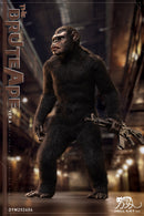 Hell Cat The Brute Ape 1/6 Scale Figure - Ver A