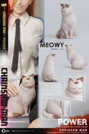 [PREORDER] Asmus Toys Power - Chainsaw Man 1/6 Collectible Figure