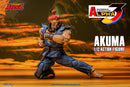 [PREORDER] Storm Arena Akuma - Street Fighter Alpha 3