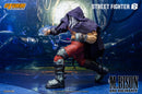 [PREORDER] Storm M. Bison & Rocinante Set - Street Fighter 6