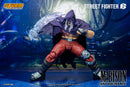 [PREORDER] Storm M. Bison & Rocinante Set - Street Fighter 6