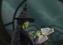 [PREORDER] SH Figuarts Elphaba - Wicked