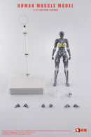 [PREORDER] Keepgoing Human Muscle Model (Female) 1/12 Figure