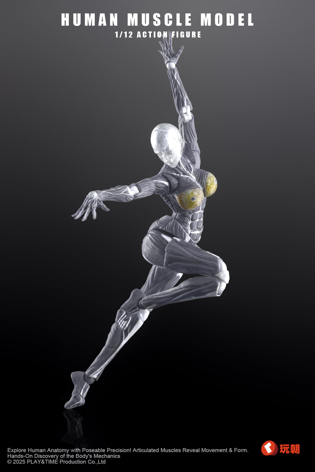 [PREORDER] Keepgoing Human Muscle Model (Female) 1/12 Figure