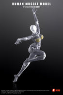 [PREORDER] Keepgoing Human Muscle Model (Female) 1/12 Figure