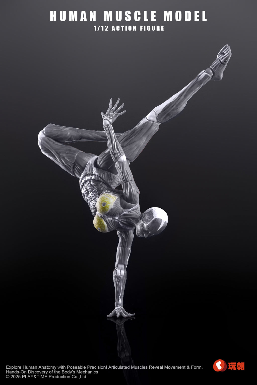 [PREORDER] Keepgoing Human Muscle Model (Female) 1/12 Figure