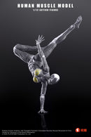 [PREORDER] Keepgoing Human Muscle Model (Female) 1/12 Figure