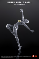 [PREORDER] Keepgoing Human Muscle Model (Female) 1/12 Figure