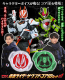 DX Kamen Rider Sound Core ID Set 01 (Reissue)