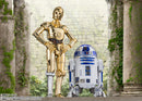 SH Figuarts C-3PO -Classic Ver- (Star Wars Episode IV: A New Hope)
