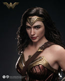 [PREORDER] INART Wonder Woman 1/6 Scale Action Figure - Dawn of Justice