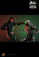 HOTTOYS TMS100 Kamen Rider Black Sun