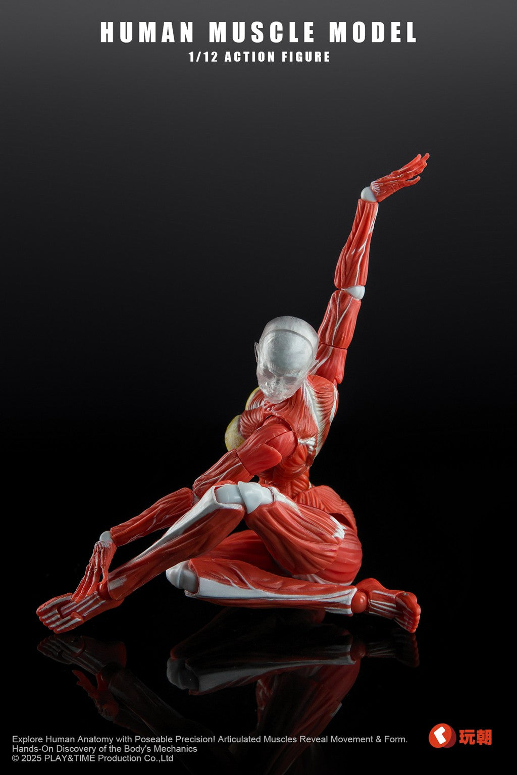 [PREORDER] Play&Time Human Muscle Model (Female) 1/12 Figure
