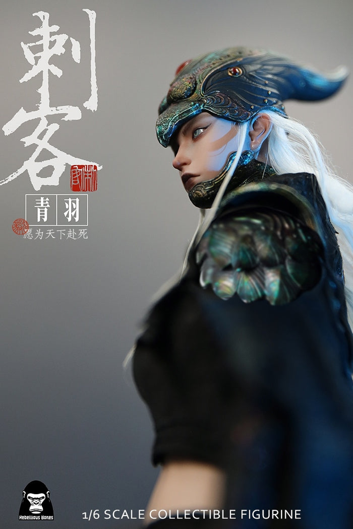 Fangu Studio CK001 - Assassin Qingyu 1/6 Scale Action Figure