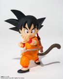 SH Figuarts Son Goku & Dragon -40th Anniversary Edition-